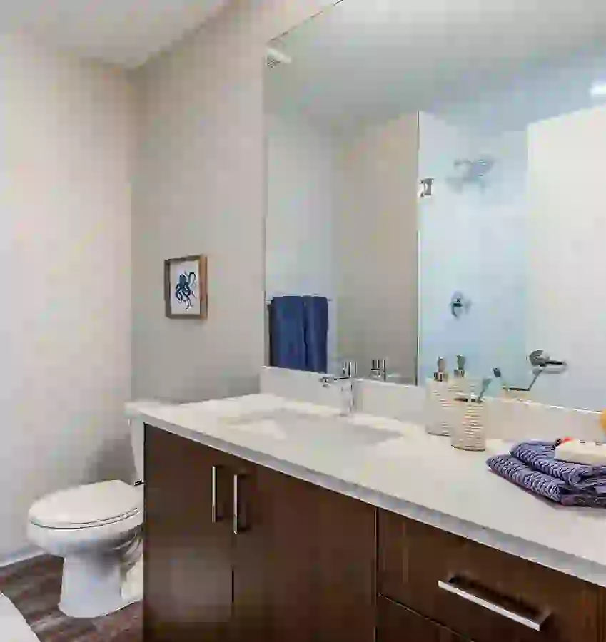 Luxury student bathroom