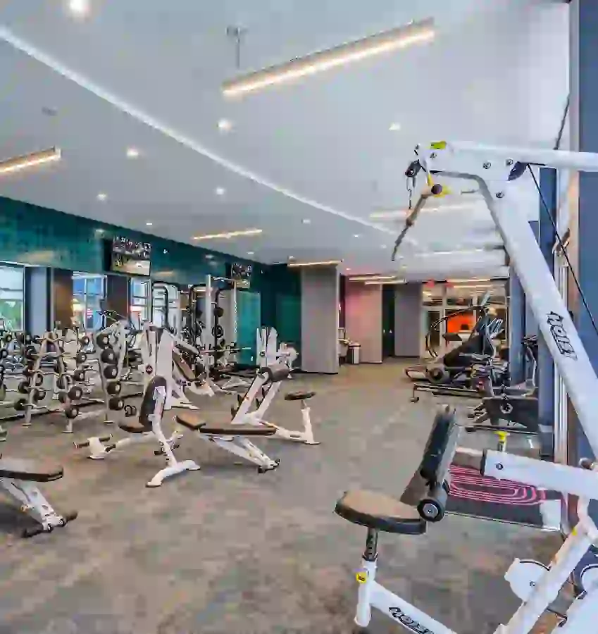 Wide image of strength training machines in the Identity Miami Fitness Center